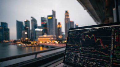 Forex Trading Platforms in Singapore