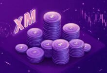 XM Broker Review