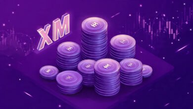 XM Broker Review
