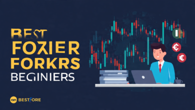 best forex brokers for beginners