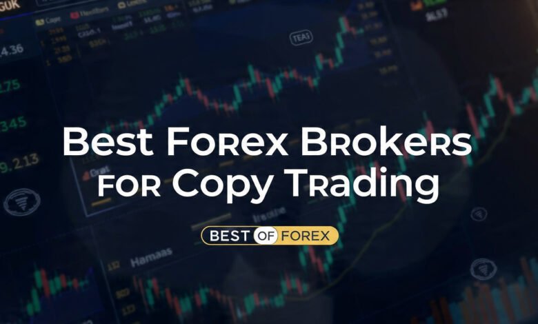 best forex brokers for copy trading