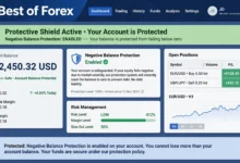 forex brokers with negative balance protection